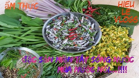 Cá linh nhúng mẻ - đặc sản miền tây và nổi nhớ xa quê - ẩm thực hieule vlogs.