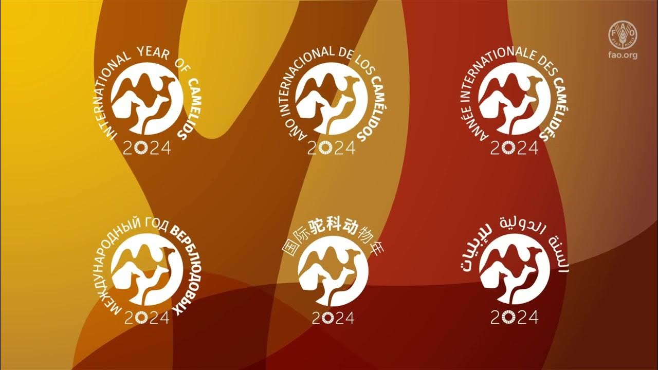 International Year of Camelids 2024 visual identity reveal YouTube