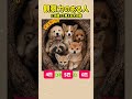 観察力のある99%の人には認知が違って見える犬の絵👀犬は何匹いますか？