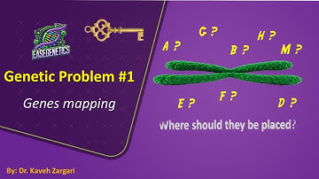 Genetics Problem #1: Gene mapping