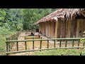 How to build Aquarium, Garden, House, Bamboo fence ..all in one idea - Ep.86