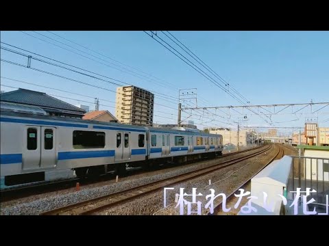 【誕生日記念PV】鉄道PV 「枯れない花」  魔王魂より
