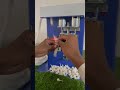 Video Image