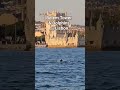 Belem Tower &amp; Dolphins #lisbon #belemtower #sunsetcruise  #portugal