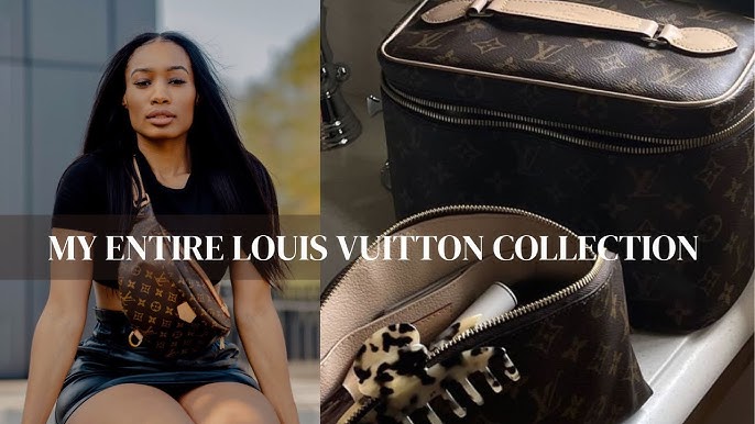 My ENTIRE LOUIS VUITTON BAG Collection