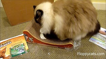 Cat Scratching Pad Santa Sleigh from Imperial Cat - ねこ - ラグドール - Floppycats