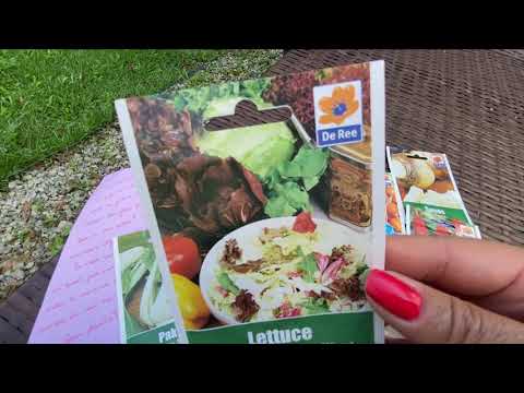 Vídeo: Jardinagem Vegetal na Irlanda: Como plantar uma horta irlandesa