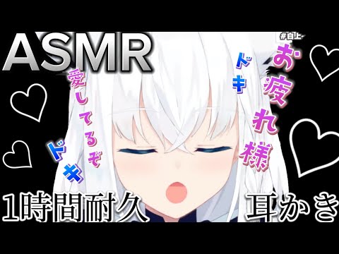 ASMR 一時間耐久 白上フブキの耳かき 梵天集 途中広告なし 睡眠用 ホロライブ切り抜き 白上フブキ