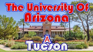 Tucson Arizona | The University of Arizona in Tucson, AZ