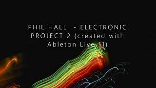 Electronic Project 2