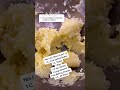 Reply to welo1964 recipe video #Shorts #savannahmoses92