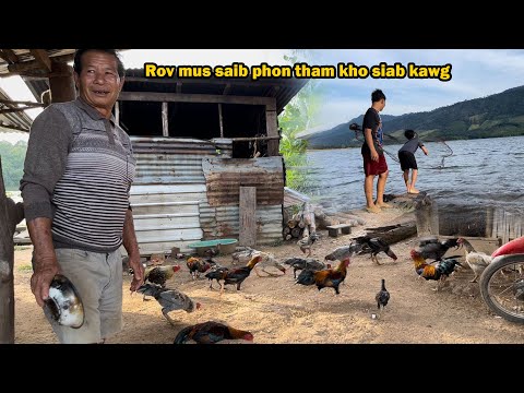 Video: Kev Npaj Thiab Kho Kom Zoo Nkauj Ntawm Thaj Chaw Hauv Nroog