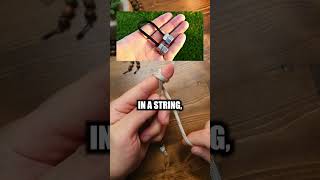 How Paracord Begleri Can Cure Your Anxiety
Welcome to WOE Shorts official paracord brand channel! Here youll find paracord tutorials, videos, tips, tricks, jigs, products and lessons on everything related to paracord weaving, paracord bracelet making, knot tying, and paracord education. Please enjoy your stay and subscribe for new content on a weekly basis. #paracord #braceletmaking #belgeri How Paracord Begleri Can Cure Your Anxiety