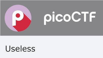 PicoCTF Useless