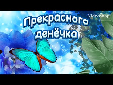 Желаю Вам Прекрасного Денёчка💐С Добрым Утречком и Отличного Дня😉Музыкальное Пожелание Доброго Утра