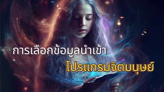 การเลือกข้อมูลนำเข้า ‘โปรแกรมจิตมนุษย์’ 👤