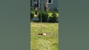 Squirrel Proof Bird Feeder with a Slinky: Wide variety of birds today #animals #squirrel