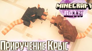 Крысы.. Нам Нужны Крысы! - Rebirth of The Night #10