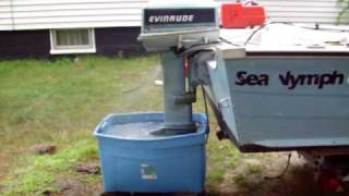 evinrude 30 hp (1985)