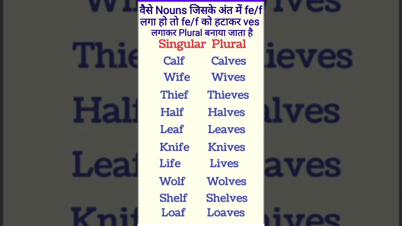  Singular To Plural Nouns