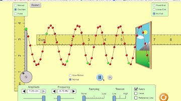 Phet Wave on a String Explanation