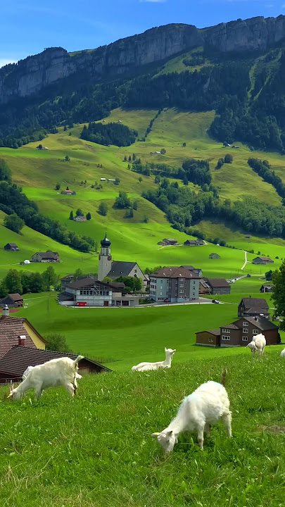 📍 Schwende, Switzerland 🇨🇭Follow for daily Swiss Content 🇨🇭