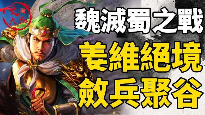 姜維的絕境一戰！前有追兵後路被斷，面對包夾姜維會如何會如何操作？丨地圖推演三國165丨文大郎 - 天天要聞