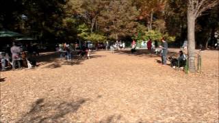 2013Nov24エルフをさがせ