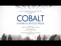 Cobalto: O Reverso do Sonho Elétrico