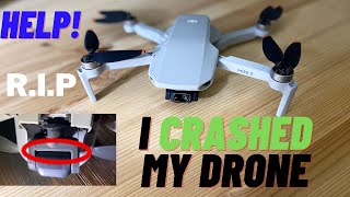 I Crashed My DJI Mini 2 Drone/Help!