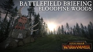 Total War: WARHAMMER - Battlefield Briefing - Bloodpine Woods