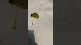 Geçen Zaman Ömürle Doldurulur. Resimi