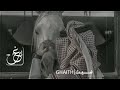 تجرحني واحبك - اشتقت لوصالك - غريب ال مخلص -بطيء 2026