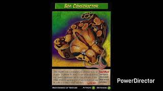 Weird N Wild Creatures J Paul Style Season 2 Episode 27 Boa Constrictor