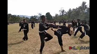 Sadisht sambung siswa PSHT losht gak rewel wajib nonton//ragu-ragu minggat #truestory