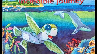 Baby Honu's Incredible Journey Read Aloud