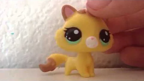 For The LPS Divas!
