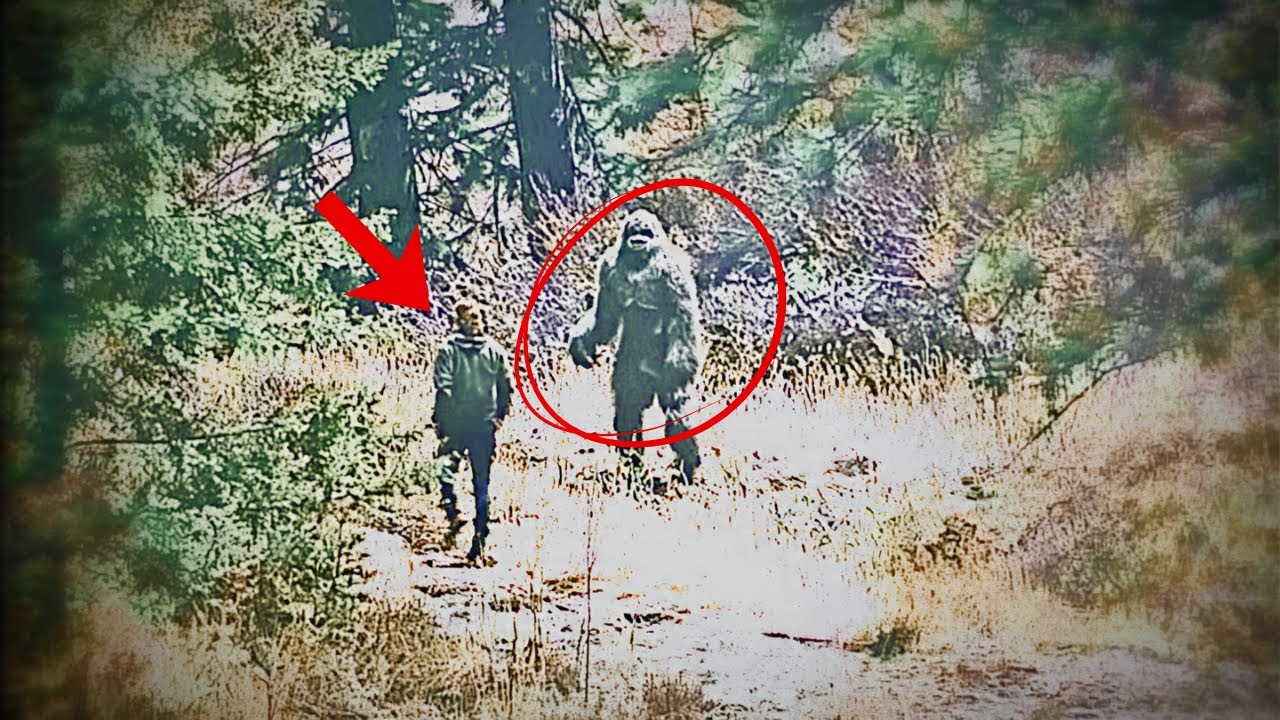 He fled the world into the mountains—until he found a girl raised by Bigfoot
