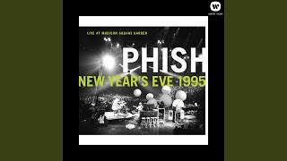 View Phish - Colonel Forbin's Ascent Live at Madison Square Garden
