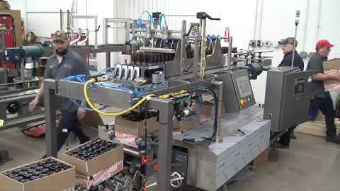 Hamrick Manufacturing - Model 360 Inverted Bottle Packer for Glass (HD)