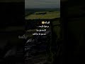 اللهم أكفنا شر هؤلاء الأربعة