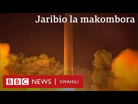 Video: Duma La Asiatic Kwenye Ukingo Wa Kutoweka, Ni 50 Tu Waliobaki Ulimwenguni
