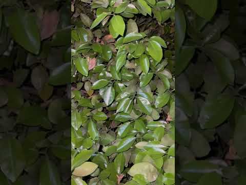 آيه وقصة ٢ في دقيقتين قصة نهاية ظالم