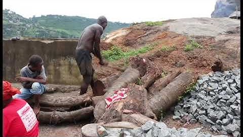 Informal Livelihoods in Freetown