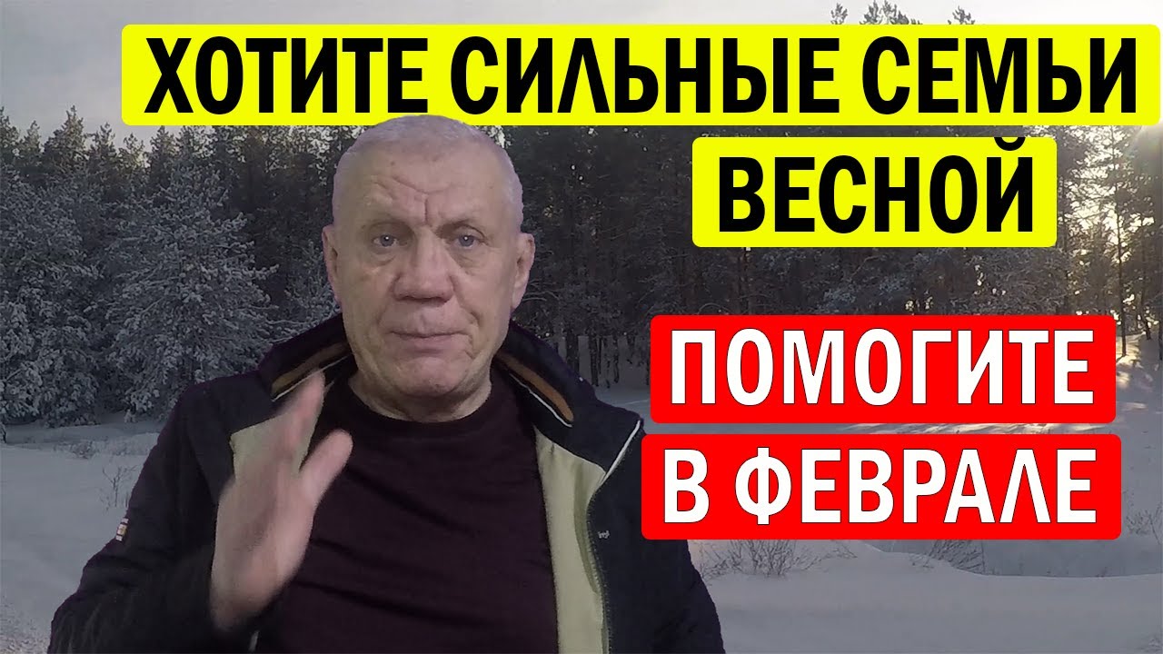 Чем кормить пчел в феврале? Важные работы на пасеке в феврале!