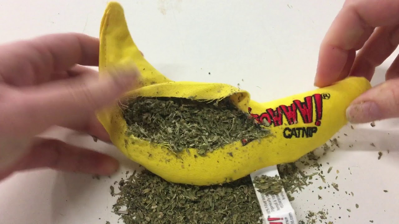 Yeowww Bananas Cat Toy With Pure