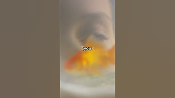 Can a Goldfish Recognize You? #goldfish #memory #shorts