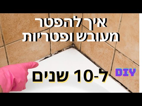 וִידֵאוֹ: איך לצלם ליד החלון