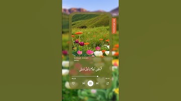 سورة الأنعام 🍒 #تلاوة_خاشعة #ارح_قلبك #قران_كريم #المصحف #اكسبلور #تيك_توك #ترند #العفاسي_قرآن