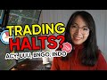 Low Float Stock Trading Halts- BNGO, ACY, RHE, UUU, INDO recap